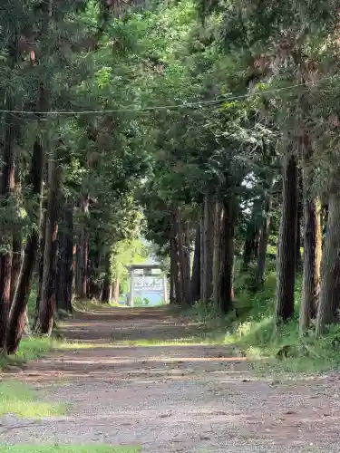 千代ケ岡八幡宮(栃木県)