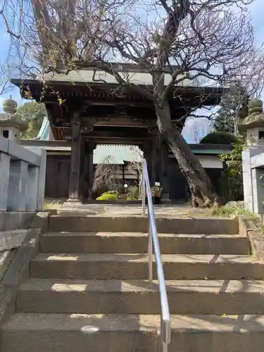 最乗寺の山門