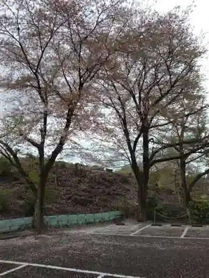観泉寺(東京都)