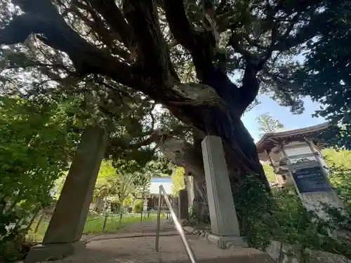 城願寺(神奈川県)