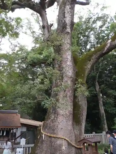 伊弉諾神宮の自然