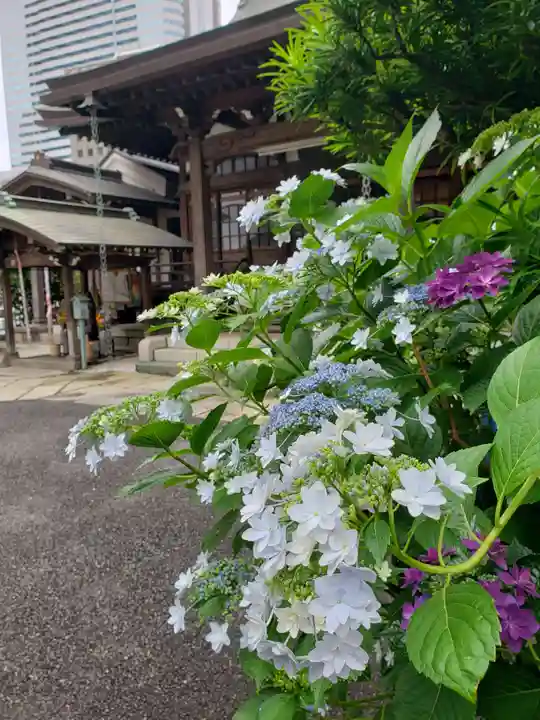 常泉院(東京都)