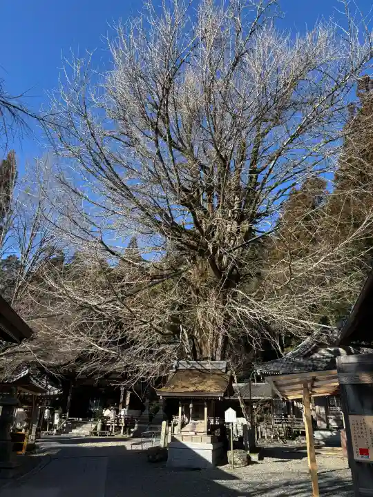 正法寺の{uncategorized: "未分類", other: "その他", undefined: "問題あり", building: "その他建物", grave: "お墓", sacred_gate: "鳥居", guardian: "狛犬", statue: "像", buddha: "仏像", history: "歴史", nature: "自然", garden: "庭園", animal: "動物", pagoda: "塔", temizu: "手水舎", mountain_gate: "山門・神門", sanctuary: "本殿・本堂", subordinate: "末社・摂社", art: "芸術", scenery: "景色", jizo: "地蔵", ema: "絵馬", goshuin: "御朱印", omikuji: "おみくじ", items: "授与品その他", amulet: "お守り", goshuincho: "御朱印帳", eats: "食事", festival: "お祭り", votive_dance: "神楽", shichigosan: "七五三参", wedding: "結婚式", experience: "体験その他", initially: "初詣", around: "周辺", anti_infection: "感染症対策"}