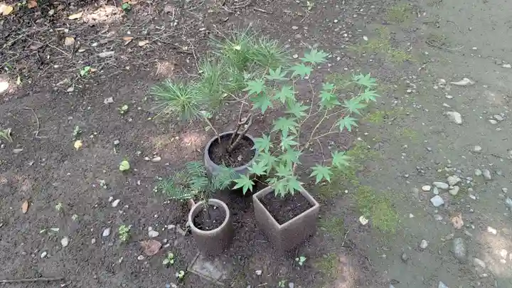 帯廣神社の庭園