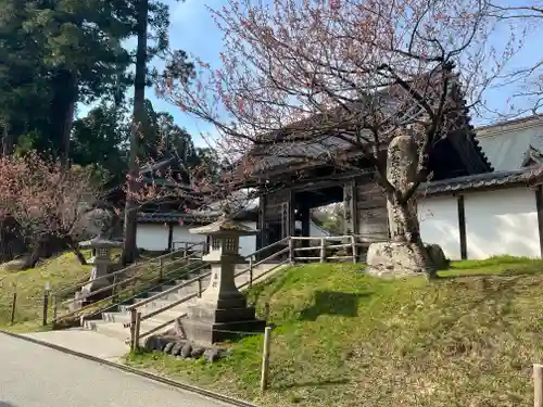 中尊寺(岩手県)