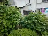 善了寺(神奈川県)