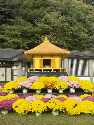 中尊寺(岩手県)