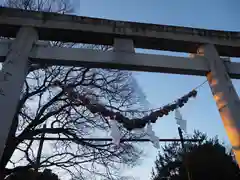 島田八坂神社の鳥居