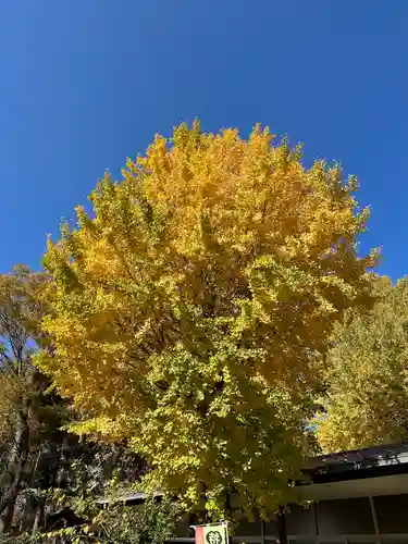 小野神社(東京都)