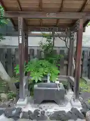 黒船神社(東京都)