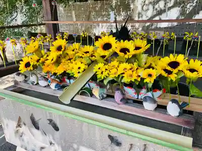 國分八幡宮の手水舎