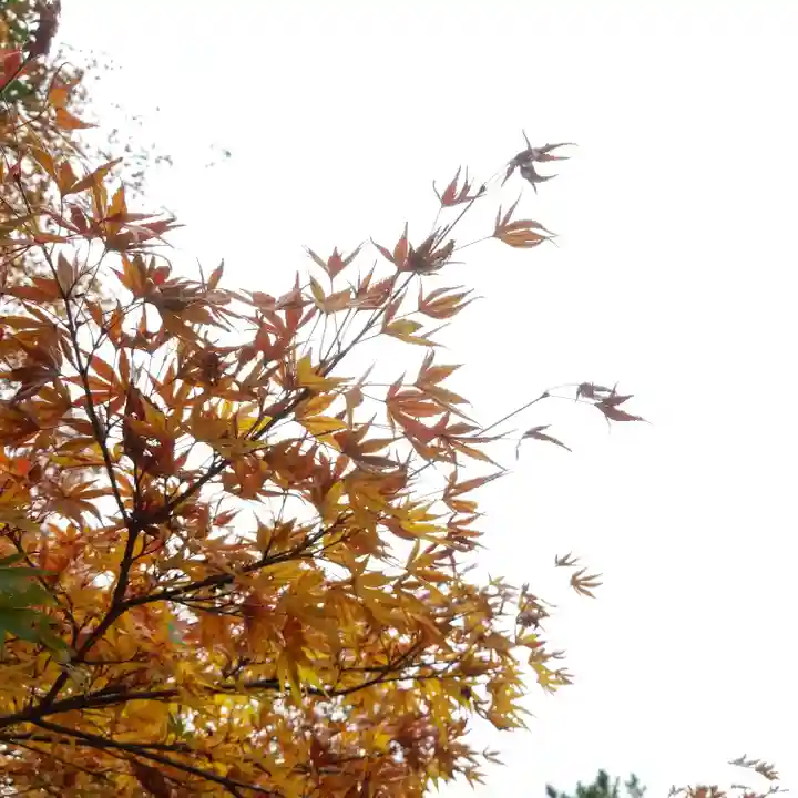 鹿島神宮の自然