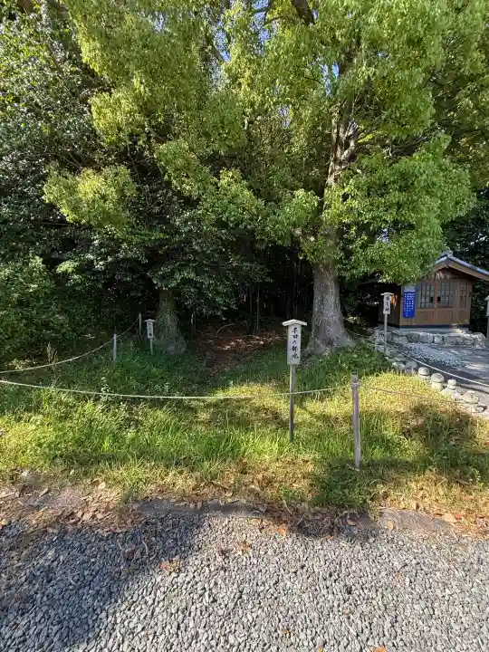 伊雜宮(皇大神宮別宮)の{uncategorized: "未分類", other: "その他", undefined: "問題あり", building: "その他建物", grave: "お墓", sacred_gate: "鳥居", guardian: "狛犬", statue: "像", buddha: "仏像", history: "歴史", nature: "自然", garden: "庭園", animal: "動物", pagoda: "塔", temizu: "手水舎", mountain_gate: "山門・神門", sanctuary: "本殿・本堂", subordinate: "末社・摂社", art: "芸術", scenery: "景色", jizo: "地蔵", ema: "絵馬", goshuin: "御朱印", omikuji: "おみくじ", items: "授与品その他", amulet: "お守り", goshuincho: "御朱印帳", eats: "食事", festival: "お祭り", votive_dance: "神楽", shichigosan: "七五三参", wedding: "結婚式", experience: "体験その他", initially: "初詣", around: "周辺", anti_infection: "感染症対策"}