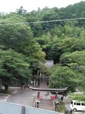 高尾山麓氷川神社の鳥居
