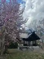 中小屋神社の{uncategorized: "未分類", other: "その他", undefined: "問題あり", building: "その他建物", grave: "お墓", sacred_gate: "鳥居", guardian: "狛犬", statue: "像", buddha: "仏像", history: "歴史", nature: "自然", garden: "庭園", animal: "動物", pagoda: "塔", temizu: "手水舎", mountain_gate: "山門・神門", sanctuary: "本殿・本堂", subordinate: "末社・摂社", art: "芸術", scenery: "景色", jizo: "地蔵", ema: "絵馬", goshuin: "御朱印", omikuji: "おみくじ", items: "授与品その他", amulet: "お守り", goshuincho: "御朱印帳", eats: "食事", festival: "お祭り", votive_dance: "神楽", shichigosan: "七五三参", wedding: "結婚式", experience: "体験その他", initially: "初詣", around: "周辺", anti_infection: "感染症対策"}