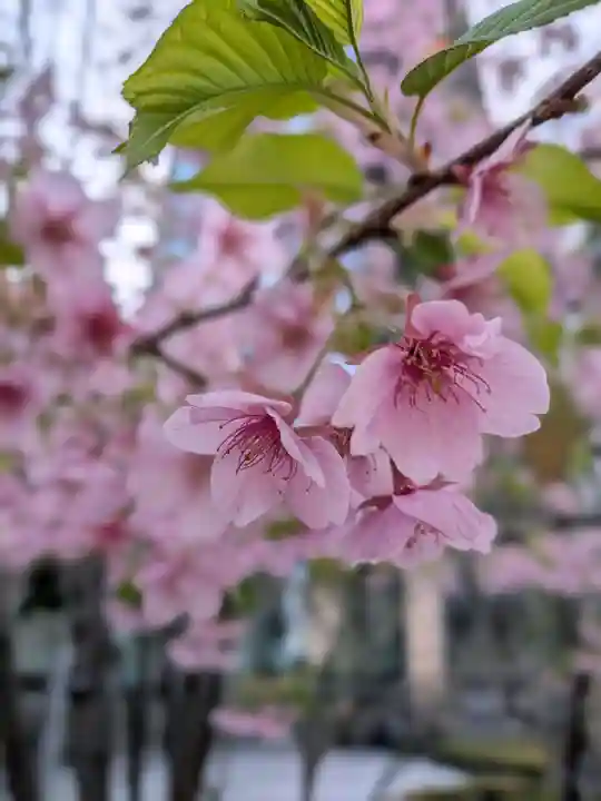 淀橋咳止地蔵尊(東京都)