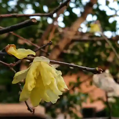 三輪神社の自然