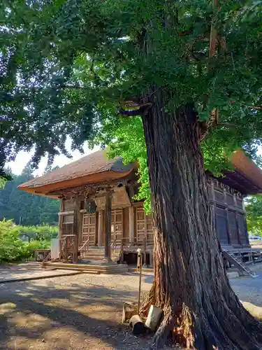 恵隆寺(立木千手観音)のその他建物