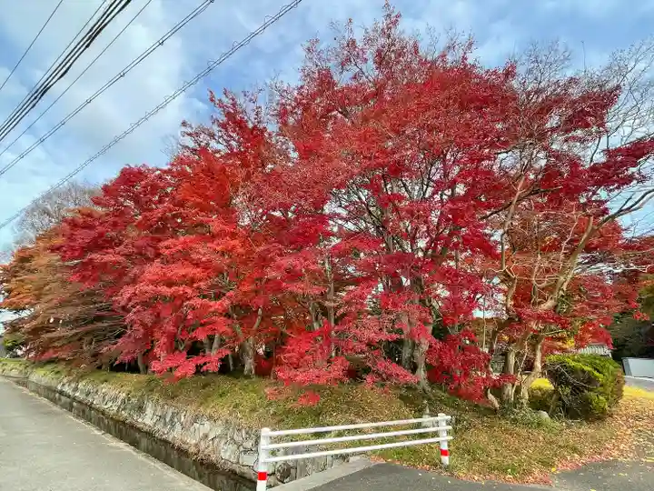 本誓寺(東本誓寺)(滋賀県)