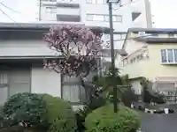 浄土寺(東京都)