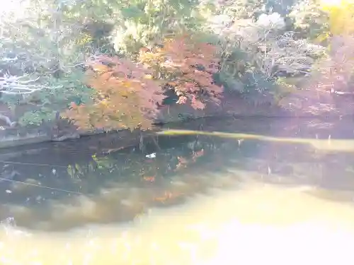 安房神社(千葉県)