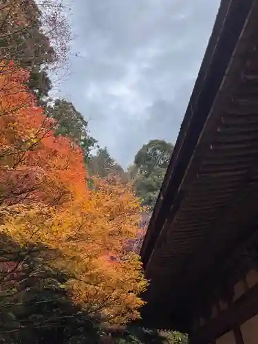 金剛輪寺の自然