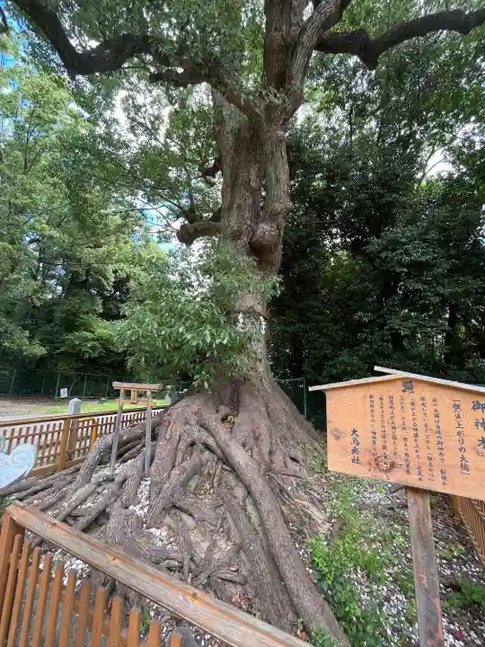 和泉國一之宮 大鳥大社(大阪府)
