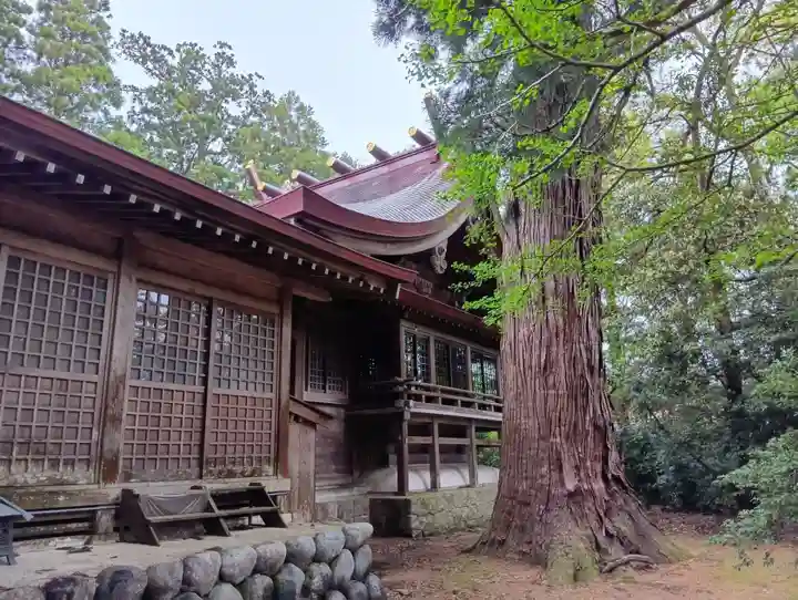 越中一宮 髙瀬神社(富山県)