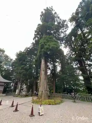 戸隠神社中社(長野県)