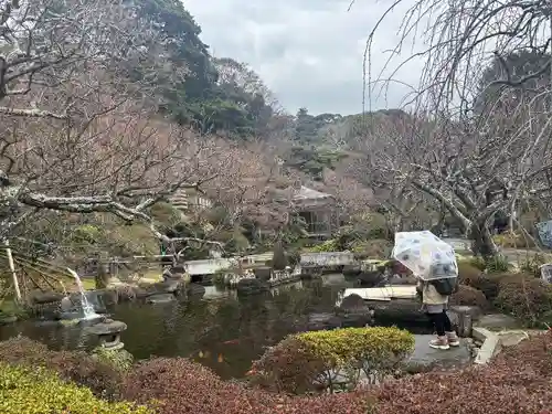 長谷寺の庭園