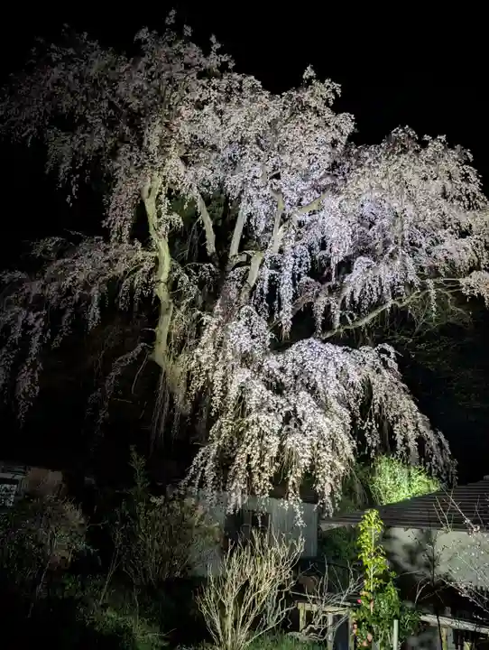 福聚寺(福島県)