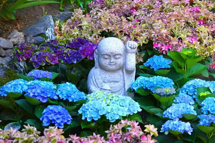岡寺(龍蓋寺)(奈良県)