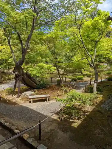 等持院の庭園