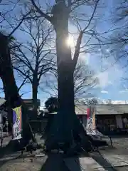 八枝神社の自然