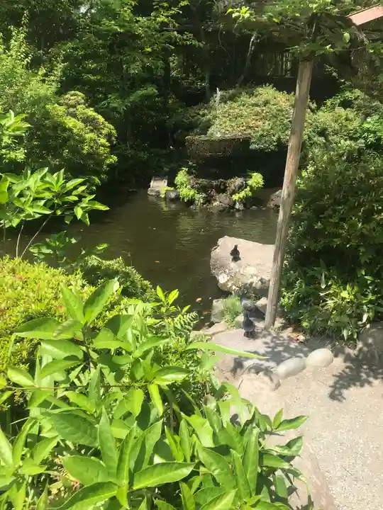 報徳二宮神社の庭園