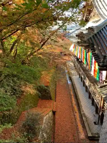 禅林寺（永観堂）の{uncategorized: "未分類", other: "その他", undefined: "問題あり", building: "その他建物", grave: "お墓", sacred_gate: "鳥居", guardian: "狛犬", statue: "像", buddha: "仏像", history: "歴史", nature: "自然", garden: "庭園", animal: "動物", pagoda: "塔", temizu: "手水舎", mountain_gate: "山門・神門", sanctuary: "本殿・本堂", subordinate: "末社・摂社", art: "芸術", scenery: "景色", jizo: "地蔵", ema: "絵馬", goshuin: "御朱印", omikuji: "おみくじ", items: "授与品その他", amulet: "お守り", goshuincho: "御朱印帳", eats: "食事", festival: "お祭り", votive_dance: "神楽", shichigosan: "七五三参", wedding: "結婚式", experience: "体験その他", initially: "初詣", around: "周辺", anti_infection: "感染症対策"}