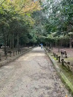 春日大社(奈良県)