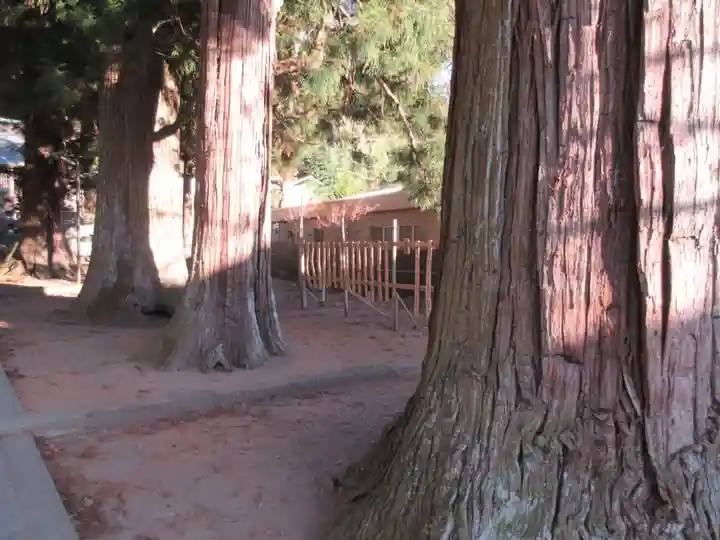 河口浅間神社の自然