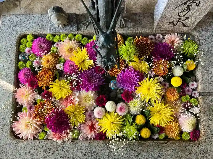 札幌諏訪神社の手水舎