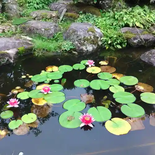 寒江山 長登寺の自然