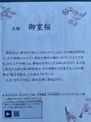 仁和寺(京都府)