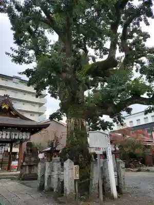 金札宮の{uncategorized: "未分類", other: "その他", undefined: "問題あり", building: "その他建物", grave: "お墓", sacred_gate: "鳥居", guardian: "狛犬", statue: "像", buddha: "仏像", history: "歴史", nature: "自然", garden: "庭園", animal: "動物", pagoda: "塔", temizu: "手水舎", mountain_gate: "山門・神門", sanctuary: "本殿・本堂", subordinate: "末社・摂社", art: "芸術", scenery: "景色", jizo: "地蔵", ema: "絵馬", goshuin: "御朱印", omikuji: "おみくじ", items: "授与品その他", amulet: "お守り", goshuincho: "御朱印帳", eats: "食事", festival: "お祭り", votive_dance: "神楽", shichigosan: "七五三参", wedding: "結婚式", experience: "体験その他", initially: "初詣", around: "周辺", anti_infection: "感染症対策"}