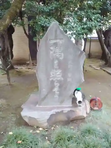 玉泉寺(東京都)