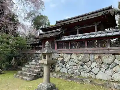 醍醐寺(京都府)