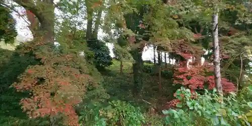 出雲大神宮の自然