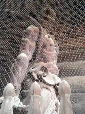 善光寺(長野県)