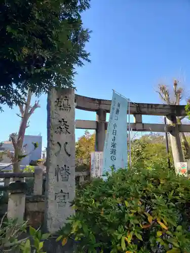 鳩森八幡神社の鳥居