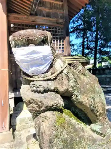 白鬚神社の狛犬