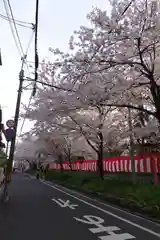 平野神社の周辺