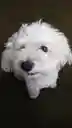 たけのこ8さんのプロフィール画像